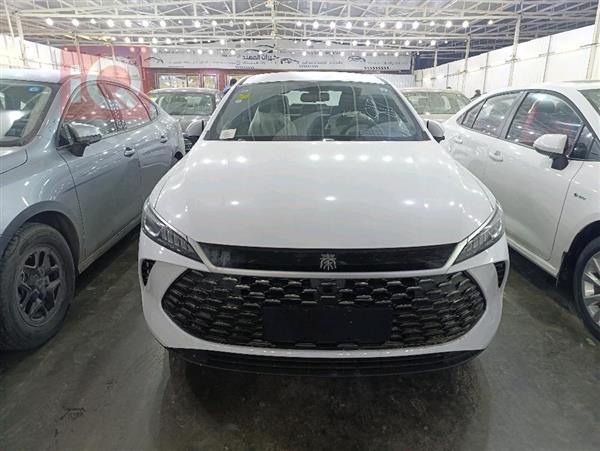 بی وای دی Qin Plus 2025  بۆ فرۆشتن لە عێراق -  بەغداد